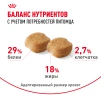 фото 5