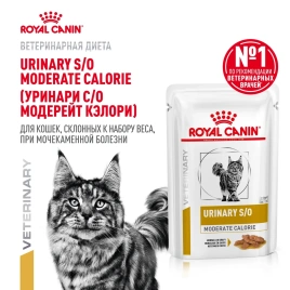 Влажный корм Royal Canin Urinary S/O для кошек при заболеваниях дистального отдела мочевыделительной системы, паштет, пауч, 85 г