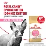 Сухой корм Royal Canin Kitten Sphynx для котят породы сфинкс до 12 месяцев, 400 г