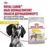 Сухой корм Royal Canin Maxi Dermacomfort для собак крупных пород при раздражениях кожи, 3 кг