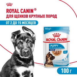 Влажный корм Royal Canin Maxi Puppy для щенков крупных пород в соусе, 100 г