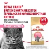 Сухой корм Royal Canin Kitten British Shorthair для котят породы британская короткошерстная, 400 г