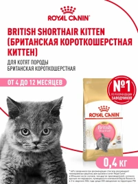Сухой корм Royal Canin British Shorthair Kitten для котят породы британская короткошерстная, 400 г