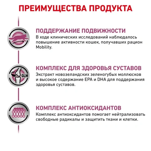 Сухой корм Royal Canin Mobility Support MC28 Feline FR для кошек при заболеваниях суставов, 2 кг фото 3