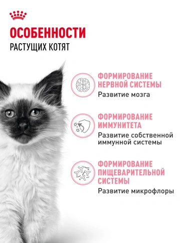 Сухой корм Royal Canin Kitten для котят, 300 г фото 20