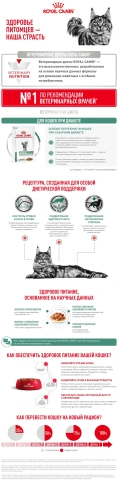 Сухой корм Royal Canin Diabetic для кошек, 1.5 кг фото 10