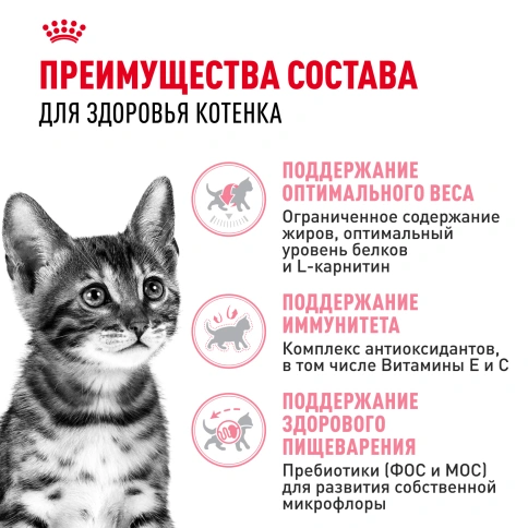 Сухой корм Royal Canin Kitten Sterilised для котят, 3.5 кг фото 3
