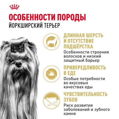 Сухой корм Royal Canin Yorkshire Terrier Adult для взрослых собак фото 2