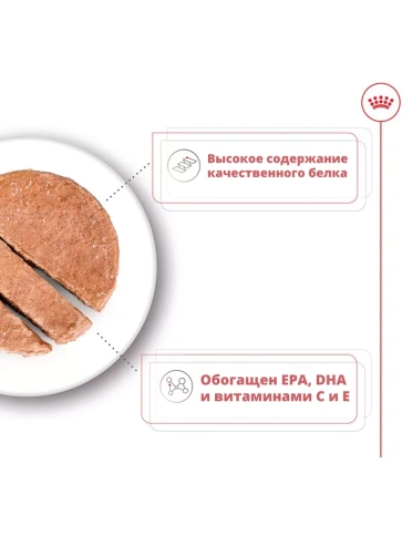 Влажный корм Royal Canin Medium Ageing 10+ для пожилых собак средних пород, паштет, банка, 410 г фото 3