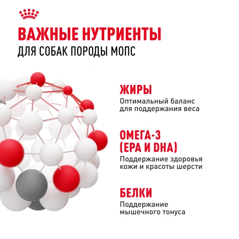 Сухой корм Royal Canin Pug Adult для взрослых собак, 1.5 кг фото 7