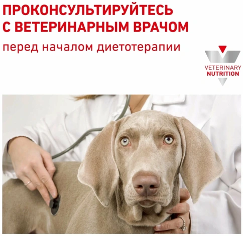 Влажный диетический корм Royal Canin Hepatic для собак при заболеваниях печени, паштет, 420 г х 12 шт фото 3