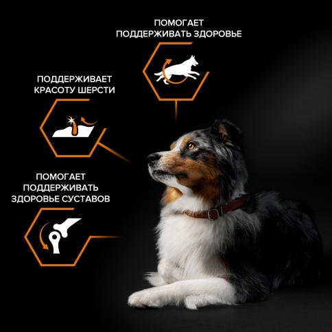 Сухой корм Purina Pro Plan Small & Mini для взрослых собак средних и мелких пород, курица и рис, 3 кг фото 2