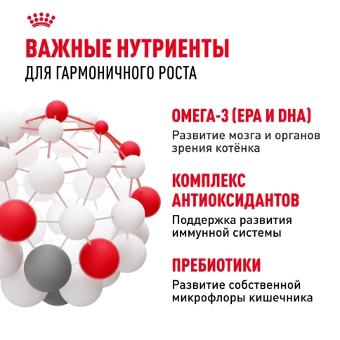 Сухой корм Royal Canin Kitten 36 Second Age для котят от 4 до 12 месяцев, 4 кг фото 5