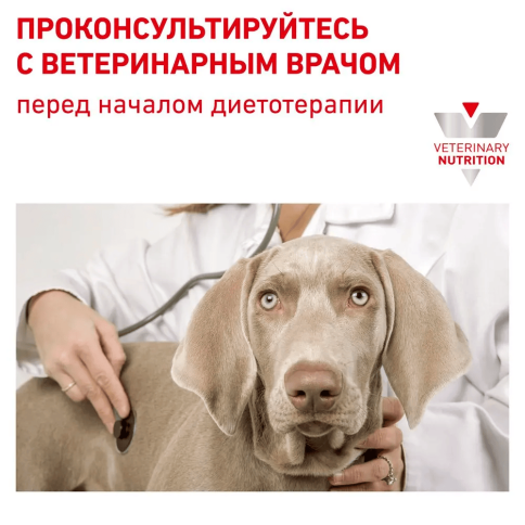 Сухой корм Royal Canin Anallergenic для собак при пищевой аллергии или непереносимости, 3 кг фото 6