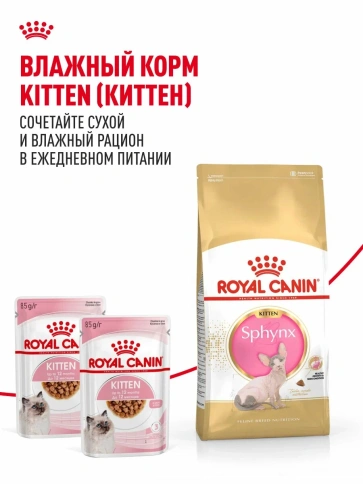Сухой корм Royal Canin Sphynx Kitten для котят породы сфинкс до 12 месяцев, 400 г фото 10