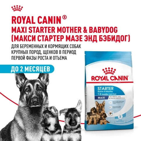 Сухой корм Royal Canin Maxi Starter для щенков крупных пород в период отъема до 2 - месячного возраста, беременных и кормящих сук - 18 кг фото 1