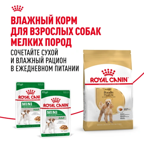 Сухой корм Royal Canin Poodle Adult для взрослых собак, 1.5 кг фото 8