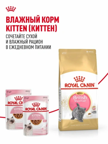 Сухой корм Royal Canin British Shorthair Kitten для котят породы британская короткошерстная, 400 г фото 10