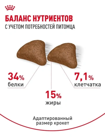 Сухой корм Royal Canin Hairball Care для взрослых кошек, для выведения волосяных комочков, 400 г фото 4