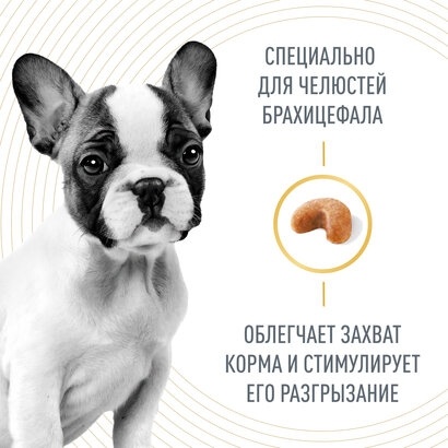 Сухой корм Royal Canin French Bulldog Junior для щенков французского бульдога, 3 кг фото 3