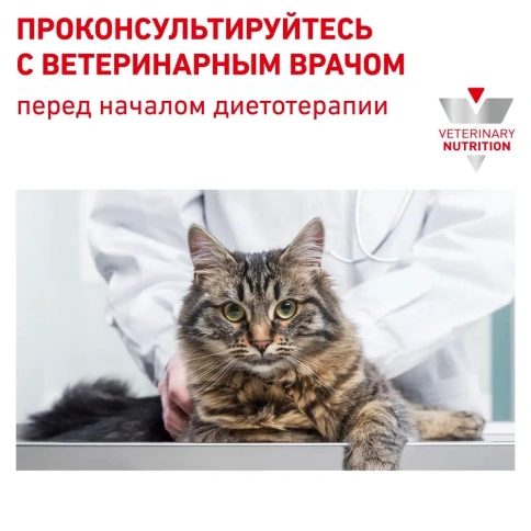 Сухой диетический корм Royal Canin Early Renal для взрослых кошек при ранней стадии почечной недостаточности, 400 г фото 9