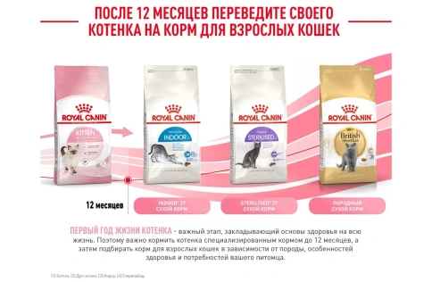 Сухой корм Royal Canin Kitten для котят, 300 г фото 13