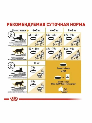 Сухой корм Royal Canin Maine Coon Adult для взрослых кошек породы мейн-кун, 13 кг фото 4