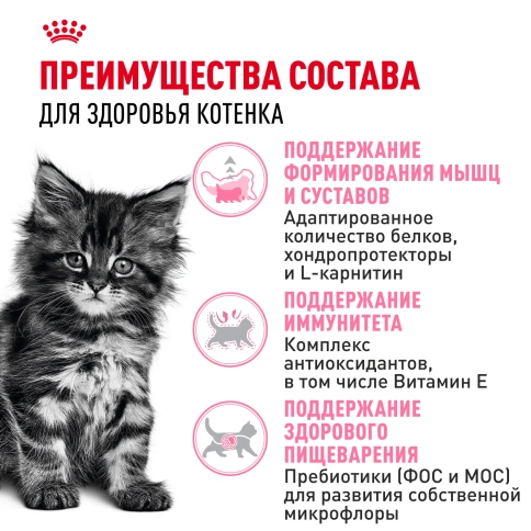 Сухой корм Royal Canin Kitten Maine Coon для котят, 2 кг фото 3