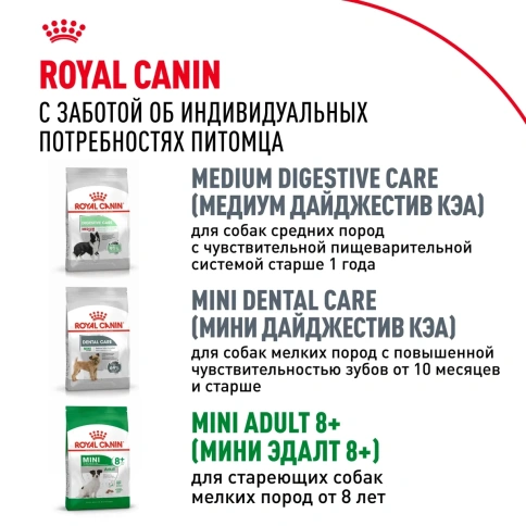 Сухой корм Royal Canin Mini Adult для взрослых собак мелких пород, 15 кг фото 10