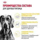 Сухой корм Royal Canin Maxi Dermacomfort для собак крупных пород при раздражениях кожи, 3 кг фото 2
