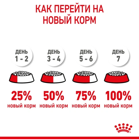 Сухой корм Royal Canin Kitten для котят от 4 до 12 месяцев, с птицей, 300 г фото 7
