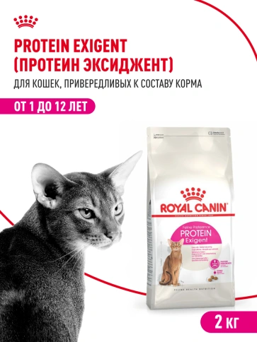 Сухой корм Royal Canin Protein Exigent для кошек, 2 кг фото 14