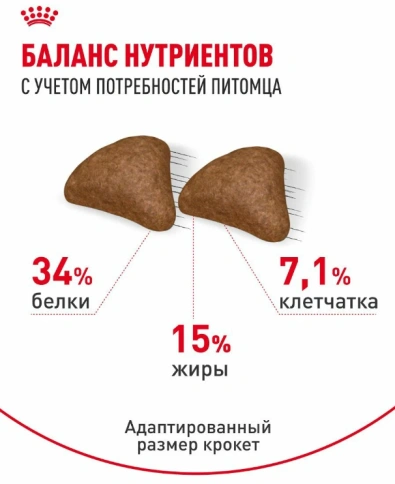 Сухой корм Royal Canin Hairball Care для взрослых кошек, для выведения волосяных комочков, 10 кг фото 4