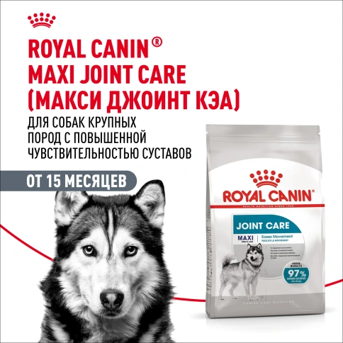 Сухой корм Royal Canin Maxi Joint Care для собак, 10 кг фото 13