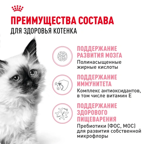 Сухой корм Royal Canin Kitten 34 для котят от 4 до 12 месяцев с птицей, 300 г фото 3