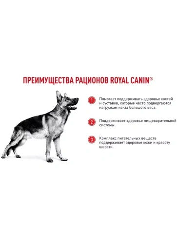 Сухой корм Royal Canin Maxi Adult PRO для собак крупных пород, 20 кг фото 2