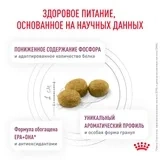 Сухой корм Royal Canin Renal диетический при почечной недостаточности у кошек, 350 г фото 4