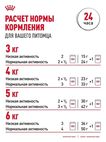 Влажный корм Royal Canin Hair & Skin Care в желе для взрослых кошек, для здоровья кожи и шерсти, пауч, 85 г фото 7