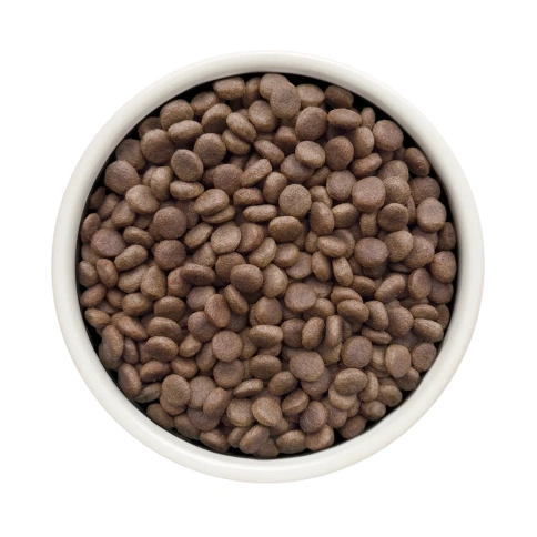 Сухой корм Grandorf Veterinary Diet Dermatosis лосось для собак с заболеваниями кожи, 1 кг фото 2