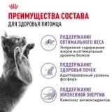 Сухой корм Royal Canin Sterilised 7+ для стерилизованных кошек старше 7 лет, 400 г фото 2