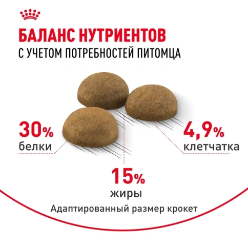 Сухой корм Royal Canin Indoor Long Hair для домашних длинношерстных кошек, 400 г фото 4