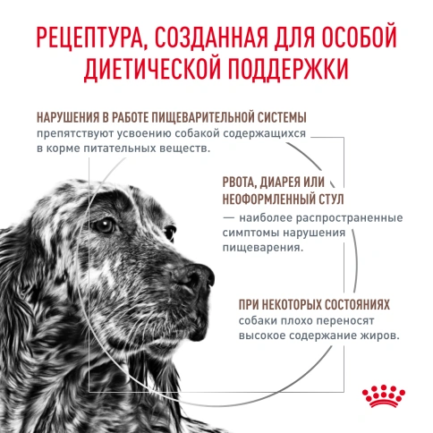 Сухой корм Royal Canin Gastrointestinal Low Fat для собак, 1.5 кг фото 3