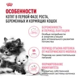 Сухой корм Royal Canin Mother & Babycat для кошек и котят в возрасте от 1 до 4 месяцев, 2 кг фото 2