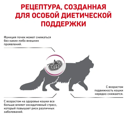 Сухой корм Royal Canin Early Renal для взрослых кошек, диетический при ранней стадии почечной недостаточности, 0.4 кг фото 2