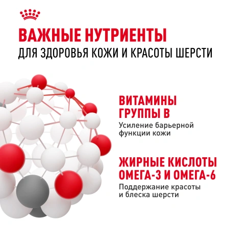 Сухой корм Royal Canin Mini Dermacomfort для собак, 1 кг фото 5