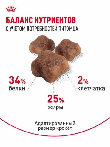 Сухой корм Royal Canin Mother & Babycat для котят в возрасте до 4 месяцев и кошек в период беременности и лактации, 2 кг фото 4
