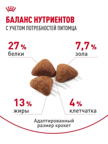 Сухой корм Royal Canin Indoor для взрослых кошек, живущих в помещении, 400 г фото 4