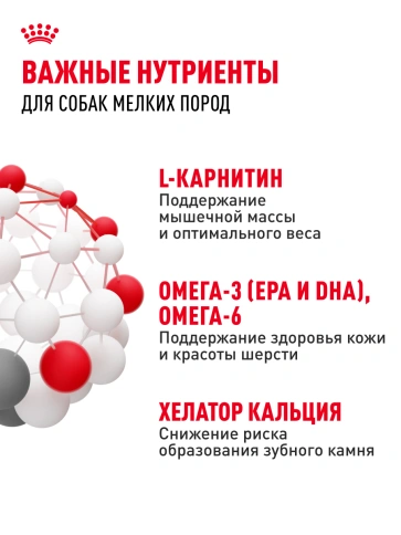 Сухой корм Royal Canin Mini Adult для взрослых собак, 8 кг фото 19