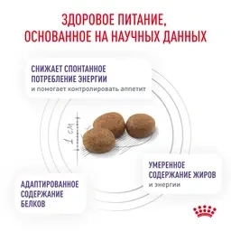 Сухой корм Royal Canin Neutered Satiety Balance для кошек, 300 г фото 5