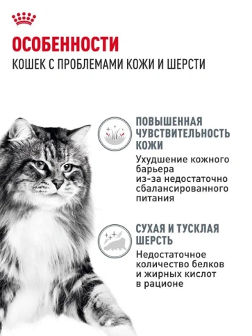 Влажный корм Royal Canin Hair & Skin Care в желе для взрослых кошек, для здоровья кожи и шерсти, пауч, 85 г фото 2